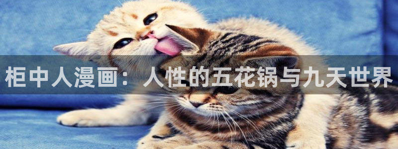 禁漫天堂娘