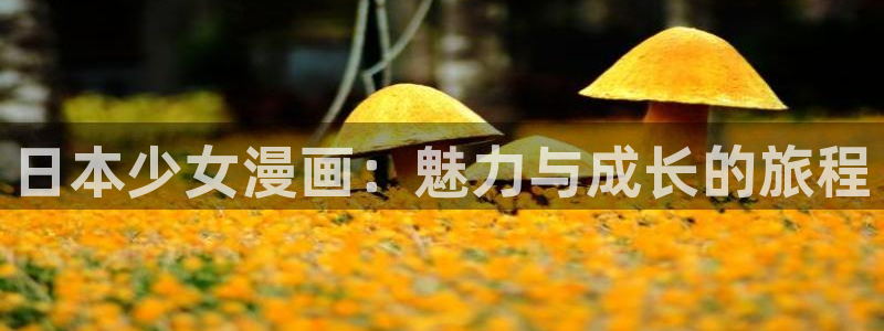禁漫天堂8