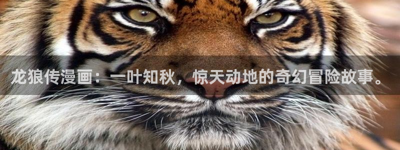 禁漫天堂直接看