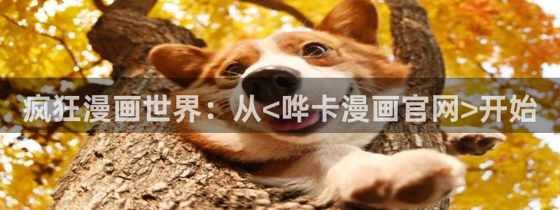 免費a漫禁漫天堂在線觀看